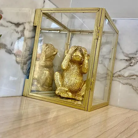 Suite649 Nuova 5 * Modena